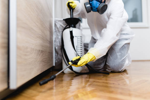 Best Bed Bug Extermination  in Sand Ridge, NY