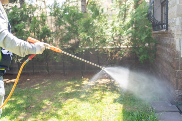 Best Pest Removal Services  in Sand Ridge, NY