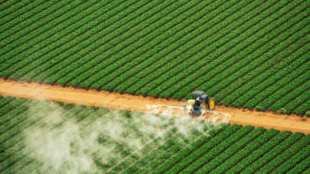 Best Termite Control Services  in Sand Ridge, NY