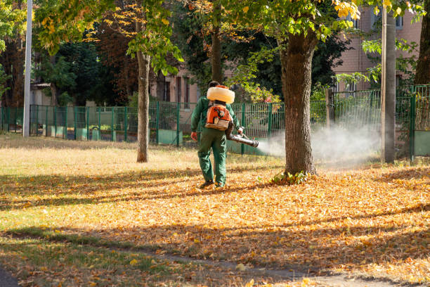 Best Emergency Pest Control  in Sand Ridge, NY