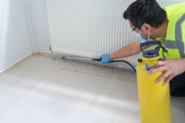 Sand Ridge, NY Pest Control Company