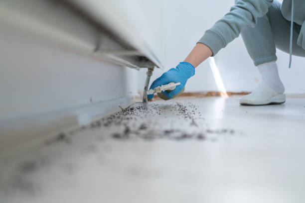 Best Commercial Pest Control Services  in Sand Ridge, NY