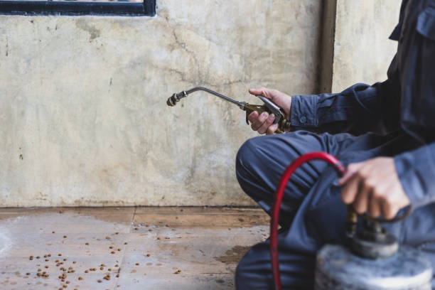 Best Affordable Pest Control Services  in Sand Ridge, NY