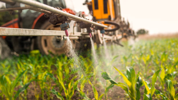 Best Pest Removal Services  in Sand Ridge, NY