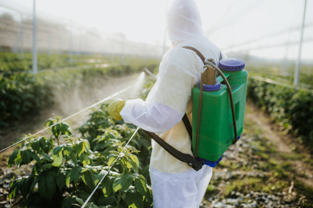 Best Termite Control Services  in Sand Ridge, NY